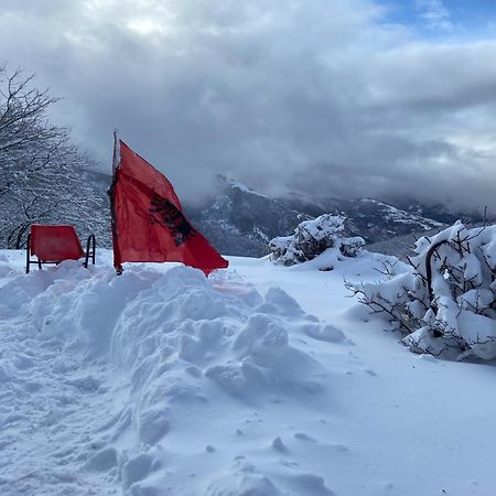 ホテル Camping Shengjergj ティラナ エクステリア 写真